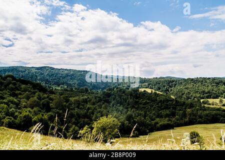 Kryve am Fluss San - ein ehemaliges Dorf im Bieszczady-Gebirge - seine Einwohner wurden 1947 von den kommunistischen polnischen Behörden vertrieben. Stockfoto