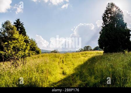 Łopienka - ein ehemaliges Dorf im Bieszczady-Gebirge - seine Bewohner wurden 1947 von den kommunistischen polnischen Behörden vertrieben Stockfoto