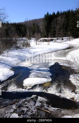 Die Frühlingsschmelze an einem Biber dämpfte den kleinen Fluss/Bach im Gatineau Park, Quebec, Kanada. Stockfoto