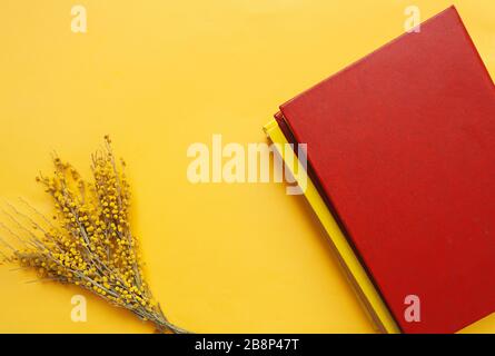 Ein wunderschöner Frühlings-Blumenstrauß aus frischer Mimosa mit zwei roten Hardcover-Büchern auf klarem gelben Hintergrund. Bücher Tag Mockup Stockfoto