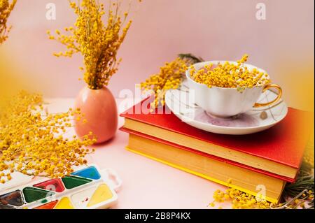 Wunderschönes Frühlings-Stillleben, ein Blumenstrauß von Mimosa in einem weißen Porzellanbecher auf weichem rosa Hintergrund mit zwei Jahrbüchern in einem harten roten Cover mit VI Stockfoto