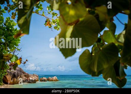 Das Tägliche Leben, La Digue. La Digue ist eine Insel auf den Seychellen, im Indischen Ozean vor Ostafrika. Es ist bekannt für seine Strände, wie Anse Source d'ARG Stockfoto