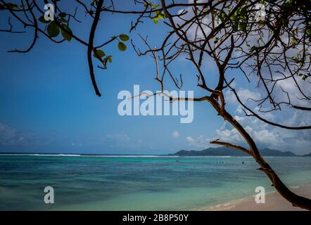 Das Tägliche Leben, La Digue. La Digue ist eine Insel auf den Seychellen, im Indischen Ozean vor Ostafrika. Es ist bekannt für seine Strände, wie Anse Source d'ARG Stockfoto