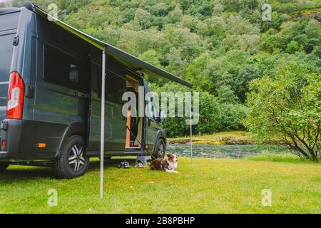 Reise mit Haustier. Happy Brown Dog Border Collie reisen mit dem Auto. Border Collie Hund sitzt in der Nähe von Auto Camping auf Gras in der Nähe des Bergflusses in norwegen. Urlaub Stockfoto