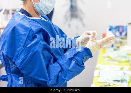 Chirurg legt sterile Handschuhe in einem Operationssaal an. Stockfoto