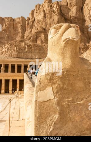 Skulptur des altägyptischen Gottes Horus mit Kopf eines Falken am Tempel der Hatschepsut Stockfoto