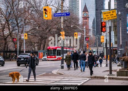 TORONTO, KANADA - 01 04 2020: Fußgänger, die die University Avenue an der Queen Street überqueren, mit dem alten Rathausuhrturm vor Cadillac Fairview Stockfoto