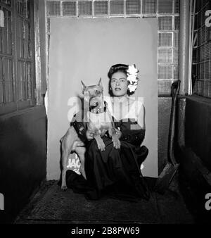 NEW YORK, New York - FEBRUAR 1947: Die amerikanische Jazz-Sängerin Billie Holiday (1915-1959) posiert für ein Porträt mit ihrem Hund Mister um Februar 1947 im Downbeat Club in New York, New York. Kredit: William Gottliebe / Rock negative / MediaPunch Stockfoto