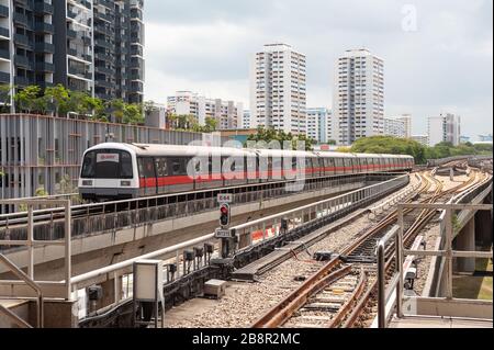 18.03.2020, Singapur, Republik Singapur, Asien - AUF dem Stadtbahnnetz, das durch ein Wohngebiet führt, WIRD EIN Kleinbahnzug der MRT gesehen. Stockfoto