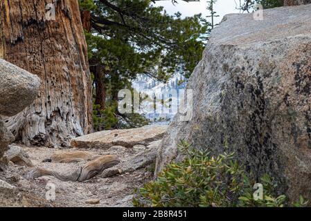 Der Lakes Trail im Sequoia National Park bietet einen atemberaubenden Blick auf die Sierra Range aus poliertem Granit mit Blick auf das Kaweah Valley. Stockfoto