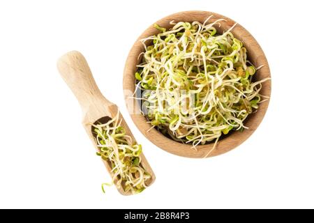 Radiesprossen in Holzschüssel und Schaufel isoliert auf weißem Hintergrund. Ernährung. Lebensmittelzutat. Stockfoto