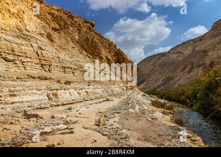 Die Klippen und der Canyon des Ein Avadat National Park, Negev Desert, Israel, Naher Osten. Stockfoto