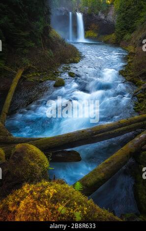 Wasserfall in Oregon bei Koosah Falls Stockfoto