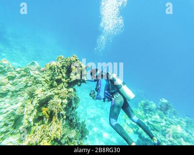 Sporttaucher genießen Tauchen und machen Aufnahmen im klaren Wasser auf einem Korallenriffe im Roten Meer, Ägypten. Stockfoto