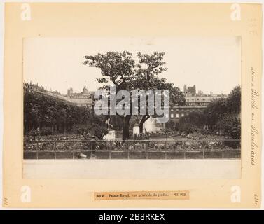 Von der Rue de Rivoli nach Boulevards / 372. Palais Royal, Blick auf den Garten. Kl. 952. Jardin du Palais Royal, 1. Bezirk, Paris 'Jardin du Palais-Royal, Paris (Ier arr.)'. Photographie d'Hippolyte Blancard (1843-1924), vers 1890. Paris, musée Carnavalet. Stockfoto