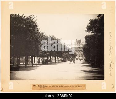 Von der Rue de Rivoli nach Boulevards / 374. Palais Royal, ein Gartenpfad, gegenüber von Valois. - Cl 954. Ein Spaziergang durch den Garten vom Palais Royal, dem 1. Bezirk, Paris. "Une allée du jardin du Palais-Royal, côté de la rue de Valois. Paris (Ier arr.)". Photographie d'Hippolyte Blancard (1843-1924), vers 1890. Paris, musée Carnavalet. Stockfoto