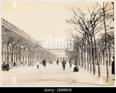 Ein Gartenpfad des Palais Royal, des 1. Pariser Bezirks "une allée du jardin du Palais-Royal, Paris (Ier arr.)". Photographie d'Hippolyte Blancard (1843-1924), vers 1890. Paris, musée Carnavalet. Stockfoto