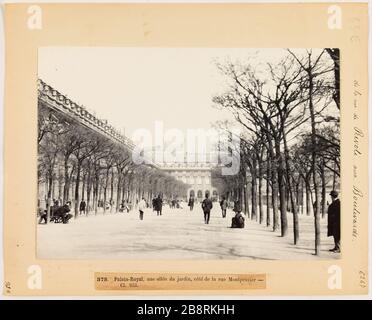 Von der Rue de Rivoli nach Boulevards / 378. Palais Royal, ein Gartenweg, neben der Rue Montpensier - / CL 958. Ein Spaziergang durch den Garten vom Palais Royal, dem 1. Bezirk, Paris. "Une allée du jardin du Palais-Royal, Paris (Ier arr.)". Photographie d'Hippolyte Blancard (1843-1924), vers 1890. Paris, musée Carnavalet. Stockfoto