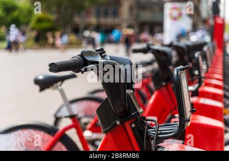 Gemeinsames Fahrradfahren in einer Großstadt. Stockfoto