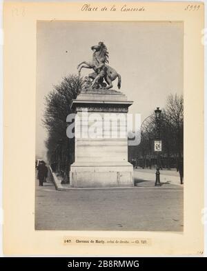 Platz Concorde / 147. Pferde von Marly, dem richtigen. - Cl 727. Pferde von Marly, rechte Gruppe, von Guillaume Coustou, Bildhauer, Place de la Concorde, 8. Pariser Bezirk. "Les chevaux de Marly, groupe de droite, par Guillaume Coustou, sculpteur, Place de la Concorde, Paris (VIIIème arr.)". Photographie d'Hippolyte Blancard (1843-1924), vers 1890. Paris, musée Carnavalet. Stockfoto