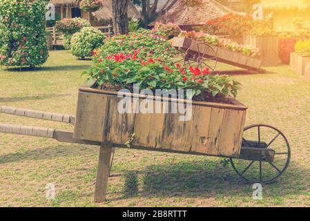 Bunte Petunienblüten auf dem Rollwagen oder dem Wagen, die im Garten aus Holz sind. Stockfoto