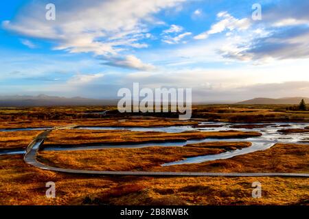 Ein goldenes Feld im Thingvellir Nationalpark Stockfoto