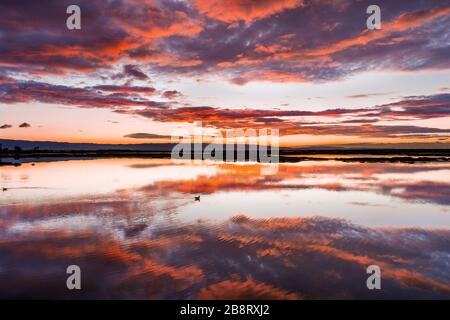 Blick auf die Gezeitenwiesen von Alviso mit bunten Wolken, die sich auf der ruhigen Wasseroberfläche widerspiegeln, Don Edwards San Francisco Bay National Wildlife Stockfoto