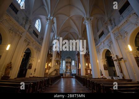 Wien, Österreich. Innenraum der Kirche am Hof. Die Kirche am Hof (auch: Kirche der neun Engelschören) ist eine Kirche aus Wien Stockfoto