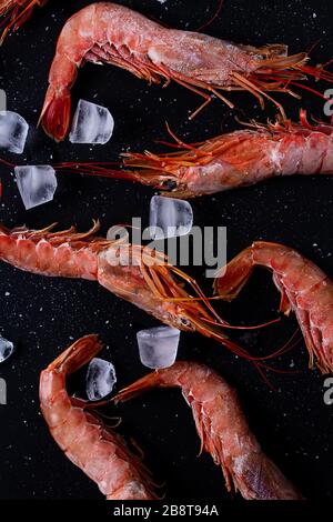 Große rote Garnelen mit Eis und Salz auf schwarzem Hintergrund. Nahaufnahme. Vertikales Format. Stockfoto