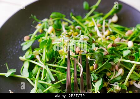 Veganer gesunder Salat aus Erbsen mikrogrünen Sprossen und gesprenkten Bohnen auf Holzgrund. Stockfoto