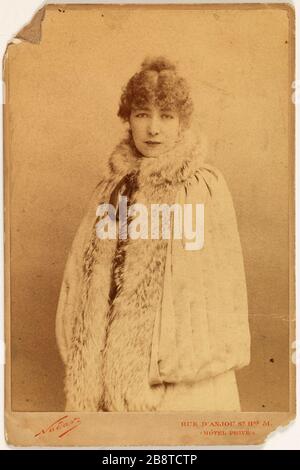 Porträt von Rosine Bernard, genannt Sarah Bernhardt (1844-1923), Schauspielerin Atelier Nadar. "Portrait de Rosine Bernard, dite Sarah Bernhardt (1844-1923), actrice". Tirage sur Papier Albuminé. Paris, musée Carnavalet. Stockfoto