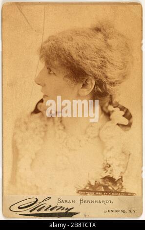 Porträt von Rosine Bernard, genannt Sarah Bernhardt (1844-1923), Schauspielerin Sarony, Napoléon. "Portrait de Rosine Bernard, dite Sarah Bernhardt (1844-1923), actrice". Tirage sur Papier albuminé. vers 1880-1880. Paris, musée Carnavalet. Stockfoto