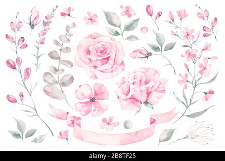 Set Vektor Aquarell Elemente von Rosen, Blätter. Sammlung Garten rosa Blumen, Blätter, Zweige, Pflanzen, botanische Illustration Stock Vektor