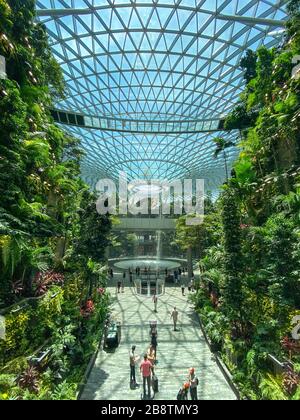 Singapur - 13. Februar 20120. Der Rain Vortex, ein 40 m hoher Wasserfall im Inneren des Jewel des Singapore Changi Airport. Stockfoto