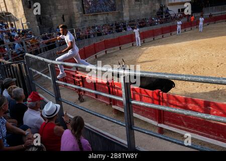 Stierkampf in Saint Laurent d'Aigouze, Camargue (Provence, Occitània, Frankreich) Stockfoto