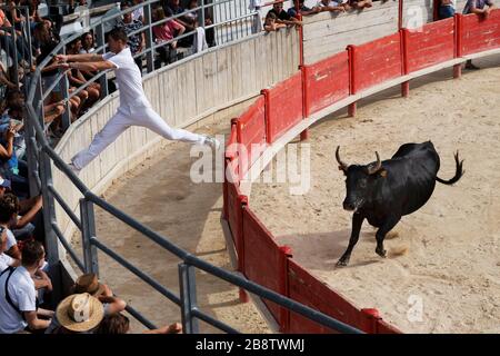 Stierkampf in Saint Laurent d'Aigouze, Camargue (Provence, Occitània, Frankreich) Stockfoto