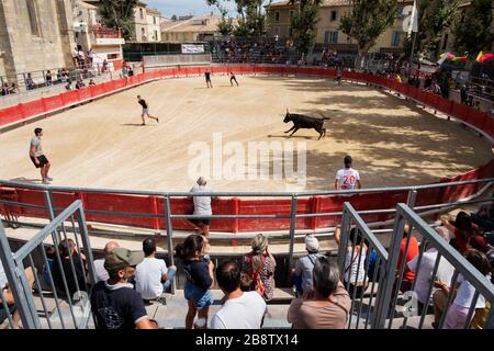 Stierkampf in Saint Laurent d'Aigouze, Camargue (Provence, Occitània, Frankreich) Stockfoto