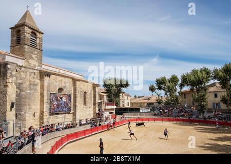 Stierkampf in Saint Laurent d'Aigouze, Camargue (Provence, Occitània, Frankreich) Stockfoto