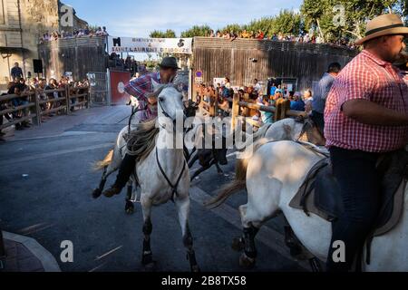 Stierkampf in Saint Laurent d'Aigouze, Camargue (Provence, Occitània, Frankreich) Stockfoto