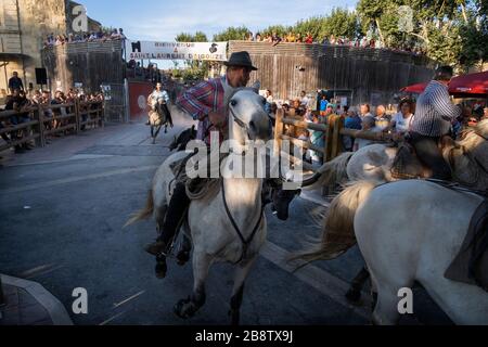 Stierkampf in Saint Laurent d'Aigouze, Camargue (Provence, Occitània, Frankreich) Stockfoto