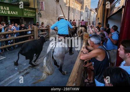 Stierkampf in Saint Laurent d'Aigouze, Camargue (Provence, Occitània, Frankreich) Stockfoto