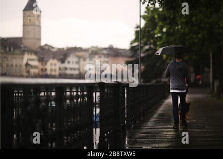 Man Walking Dog In Zürich, Schweiz Stockfoto