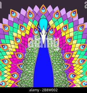 Pfau mit fließendem Schwanz bunte Cartoon-Zeichnung, Vorderansicht. Schöner mehrfarbener Vogel mit großem offenen Regenbogenschwanz mit pfauenhellen Federn, iso Stock Vektor