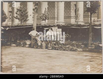 Blumenmarkt. Madeleine. / 1898 Blumenmarkt vor der Kirche der Madeleine, 8. Bezirk, Paris Marché aux fleurs devant l'église de la Madeleine, Paris (VIIIème arr.). Photographie d'E. Gaillard. Tirage au gélatino-bromure d'argent, Mai 1898. Paris, musée Carnavalet. Stockfoto