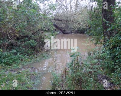 2020 überflutet Anstey, leicestershire, Großbritannien Stockfoto