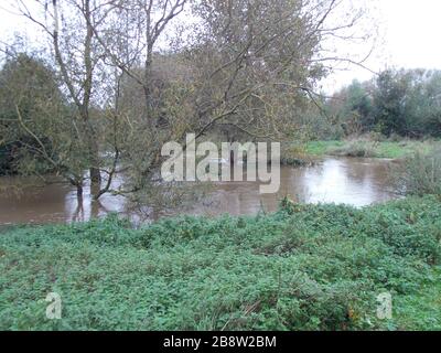 2020 überflutet Anstey, leicestershire, Großbritannien Stockfoto