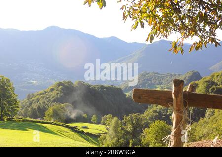 Ein sonniger Tag auf dem hohen Berg, die Landschaft einer grünen Wiese mit grünem Baum mit großer Krone Stockfoto