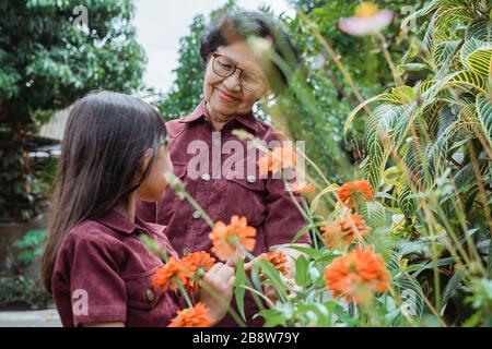 Enkelin und Großmutter spielen und schauen Blumen im Park Stockfoto