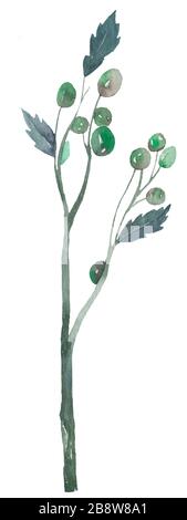 Handgezeichnete Illustration von Waldbeeren. Stockfoto