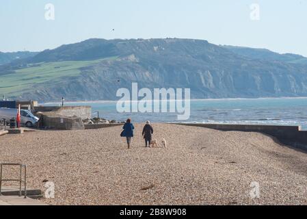 Lyme Regis, Dorset, Großbritannien. März 2020. Britische Wetterlage: Peoplee scheint den Regierungsratschlägen zu folgen, um soziale Distanzierungen zu betreiben und/oder sich von belebten Gebieten inmitten des Coronavirus-Ausbruchs fernzuhalten. Hundegänger an einem fast menschenleeren Strand in Lyme Regis. Kredit: Celia McMahon/Alamy Live News Stockfoto